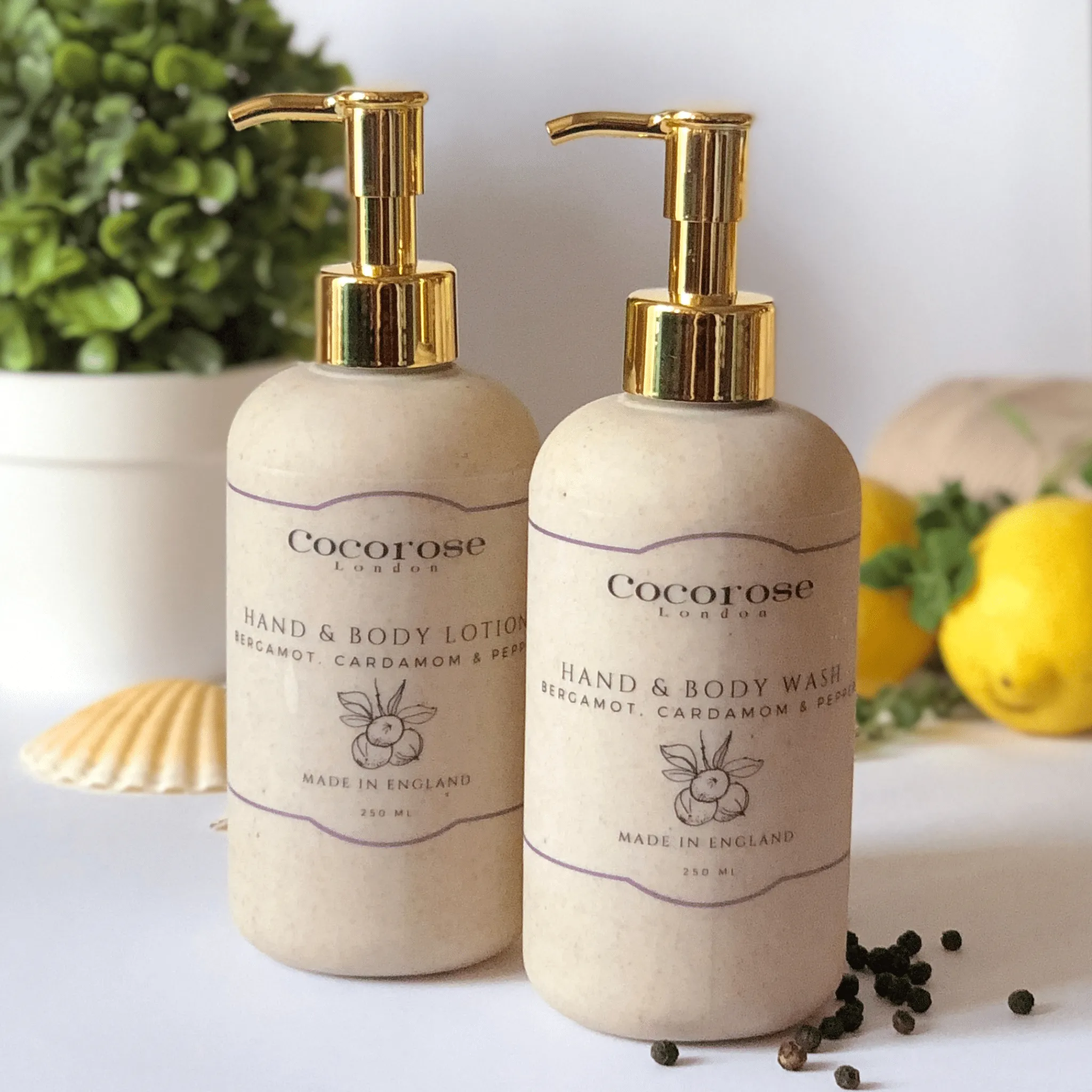 Hand & Body Lotion - Bergamot, Cardamom & Pepper